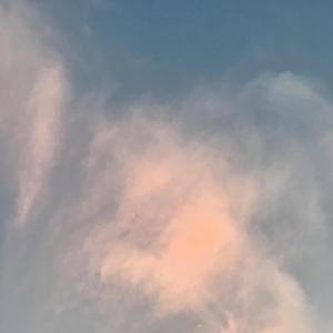 她来听我的演唱会