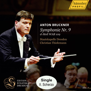 Symphony No. 9 in D Minor WAB 109 - Scherzo. Bewegt, Lebhaft - Trio. Schnell