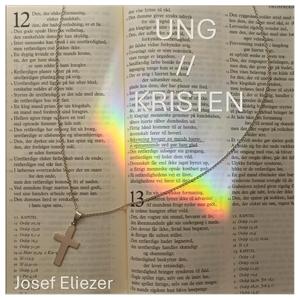 Den Barmhjertige Samaritaner (feat. brbentzen)