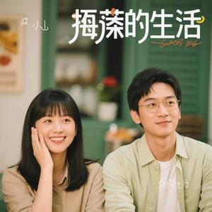 倒带生活