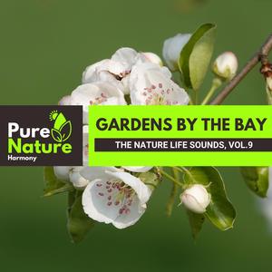 Spring Time Downpour