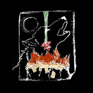 מי מביא פרחים !?