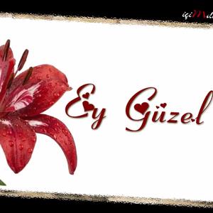 Ey Güzel - Mehmet Şamil