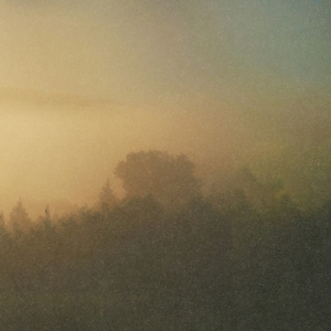 dawn