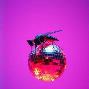 蚊子吸我五分钟的血之后就死掉了