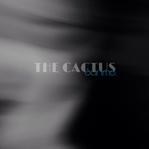 The Cactus