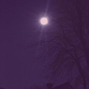 only in the night (interlude)