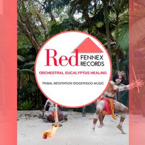 The Ethnic Electronic Traditional Didgerdioo (Cinematic Style Drumming)