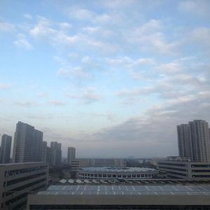 春夏秋冬季的春风