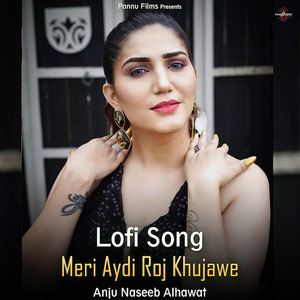 Meri Aydi Roj Khujawe (Lofi Remix)