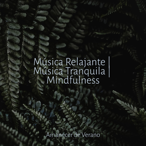 Melodía del Crepúsculo en Ritmo Rapsódico