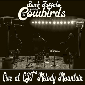 the Cowbirds Intro (Live)