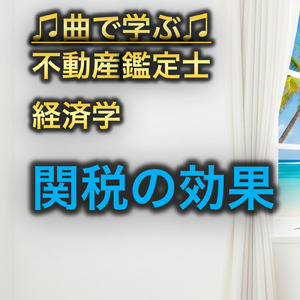 不動産鑑定士 経済学_関税の効果