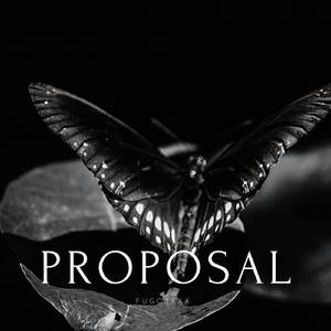 Proposal