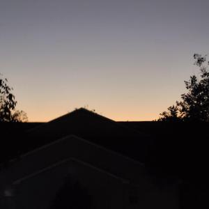 screaming through my solace.