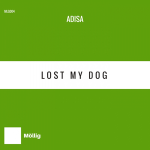 Lost My Dog (Original Mix)
