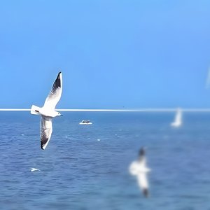 《裂缝里的温度》