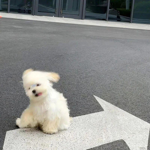 你是我情愿以身犯的险