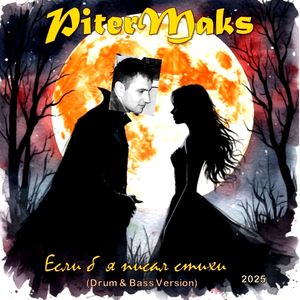 Если б я писал стихи: Drum & Bass Version