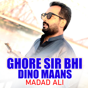 Ghore Sir Bhi Dino Maans