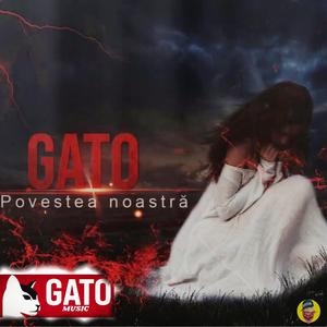 Povestea Noastra
