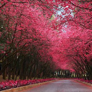 钢琴白噪音中的入眠序曲