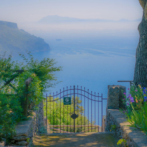 温柔告别与痛的纪念