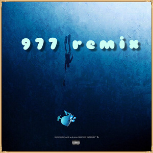 KnowKnow-52hz (977REMIX)（NOY977 / KnowKnow remix）