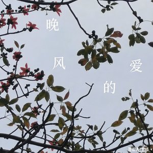晚风的爱.wav
