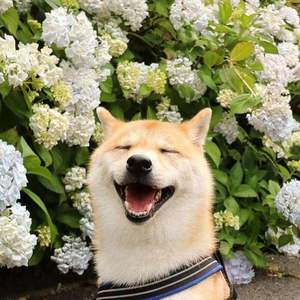 犋骥 (3)