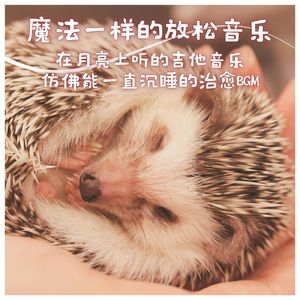 超声波睡眠 放松和睡眠的α波睡眠音乐。