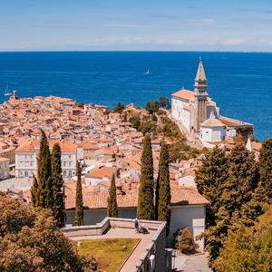 翱翔在知识的天空