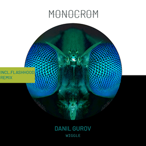 Wiggle (Flashhood Remix)