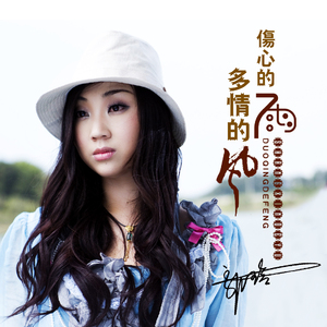 多情的风伤心的雨 (DJ何鹏版伴奏)