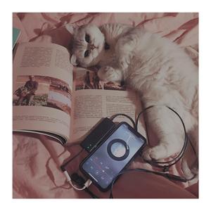 果妹-除了你（Ch remix）