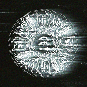 Neural Entropy