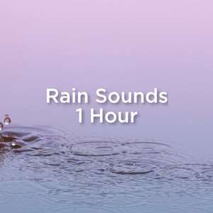 ASMR Rain Sounds