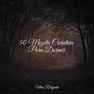 Llevado Por La Brisa