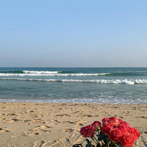 痛苦的回忆（翻自 水獭）