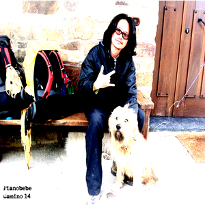 Estella (Camino 14 Ver.)