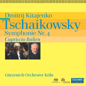 Symphony No. 4 in F Minor, Op. 36:II. Andantino in modo di canzona