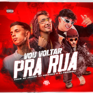 Vou Voltar Pra Rua