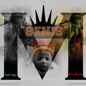 Senis