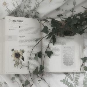 [FREE]雾里寻花 - Boombap