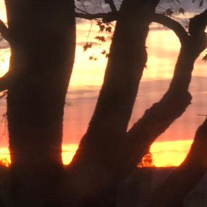 Let's Dream Big (feat. GRAY)