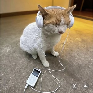 不居一