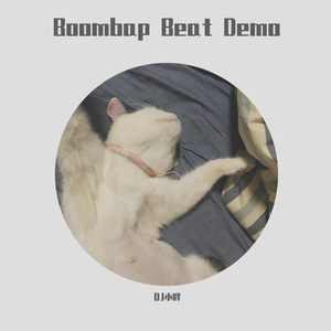 Mr.Brown-CruDay_Demo（DJ小胖 remix）