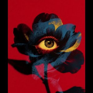 宇宙最後一朵花 by Coreone286