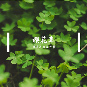 樱花草（双声男版）