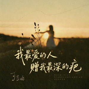 我最爱的人赠我最深的疤